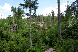 Img 025