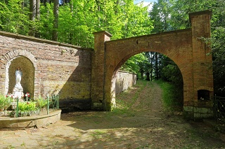 Img 028